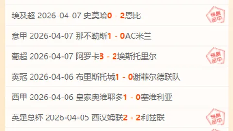 雪后可可西里告别：车轮与生命共鸣之旅